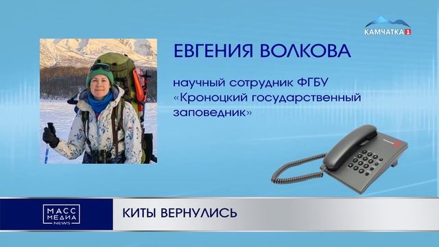КИТЫ ВЕРНУЛИСЬ | Новости Камчатки | Масс Медиа