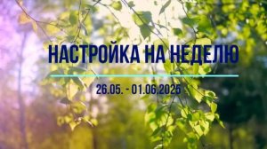 Настройка на неделю 26.06 - 01.06.2025. #психология #осознанность