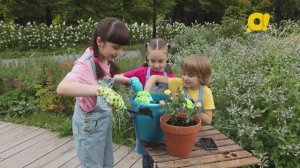 Сажаем чеснок, укроп, подсолнух и розы вместе с детьми на даче! Смотрите программу "Зелёный проект"