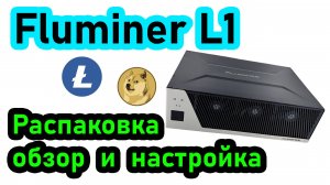 Новый домашний асик Fluminer L1. Распаковка, обзор и настройка