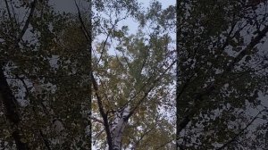 мы розжигаем костёр часть 4