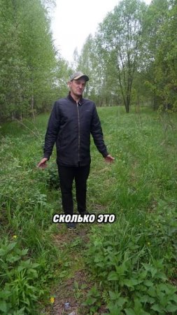 Дороги НЕ БУДЕТ: что скрывает администрация?  #строительсводома #стройка