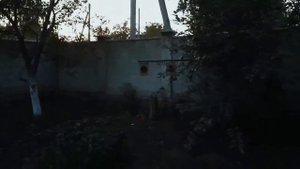 Широкополосные динамики 13см в оформлении "щиты"