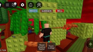 играю в вырасти сад