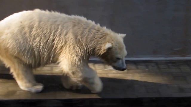 Мимо нас ничего не пролетит 25.08.16 смотреть онлайн