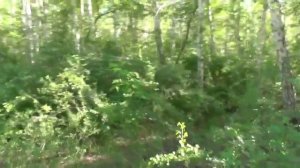 Усть-Каменогорск СНЕЖНЫЙ ЧЕЛОВЕК было страшно Өскеме?