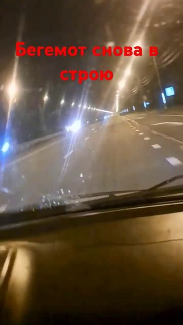 Бегемот снова в строю смотреть онлайн