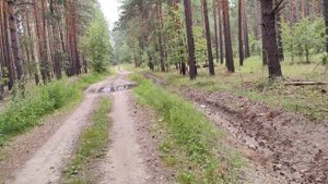 Велопоход - Николо-Чернеевский монастырь День 1