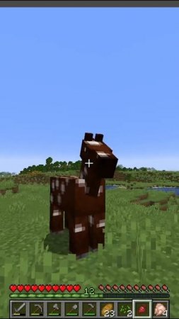 Кормим лошадок свеклой в майнкрафт MineCreeper
