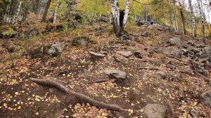 Зубы Шурале(Айгир)