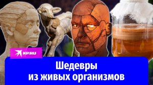 «Холст сам диктует правила»: художник создаёт шедевры из чайного гриба