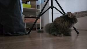 веселье