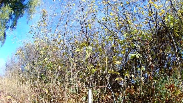 АСД-6-эпоксидное топливо на основе молотого нитрата ка смотреть онлайн