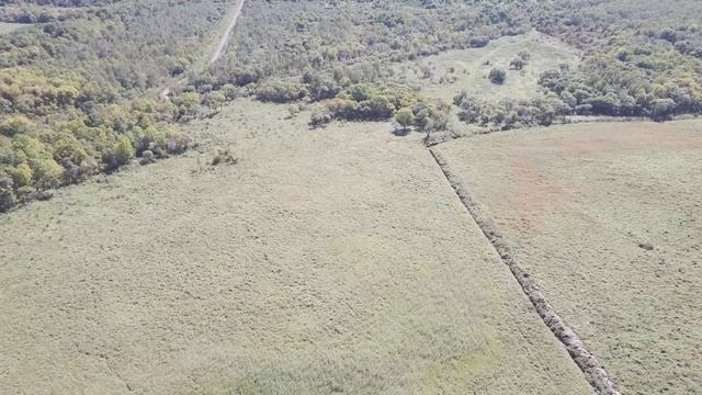 Участок 441 га, Кировский район, Приморский край смотреть онлайн