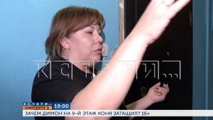 Смотрите сегодня в 19.00 в программе "Кстати": Зачем Димо?