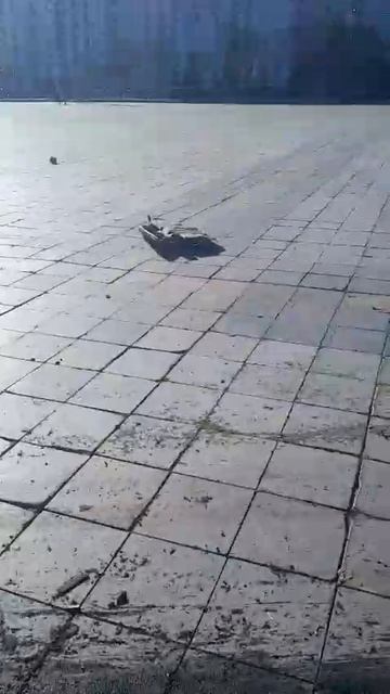 ЧАСТЬ 2 
Хабаровск, новости, BMW на площади смотреть онлайн