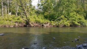 Р. Стеклянуха Приморский край