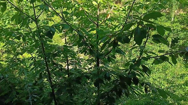 Санаторий доктора Тохири село Путхин телефон для связ смотреть онлайн