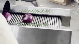 Станок для очистки лука (модель Т-33)