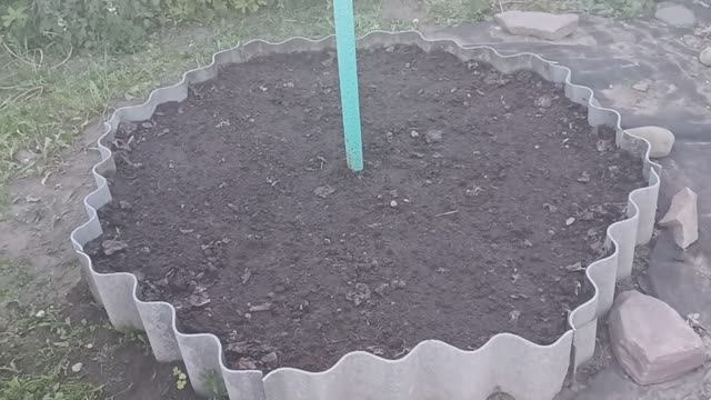 Выходные с посадками 24.05.2025 смотреть онлайн