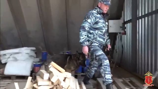 В Ленинградской области полиция в ходе рейдов по стро? смотреть онлайн