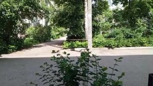 1000007345.mp4
