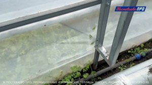 Отопление в теплице. Воздушное отопление пеллетными котлами теплицы Супермодуль 10 х 62 метров.