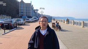 Как изменился променад в городе Светлогорске Калинин?