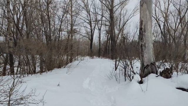 Распаковка и личный опыт, тест петличного микрофона DJI смотреть онлайн