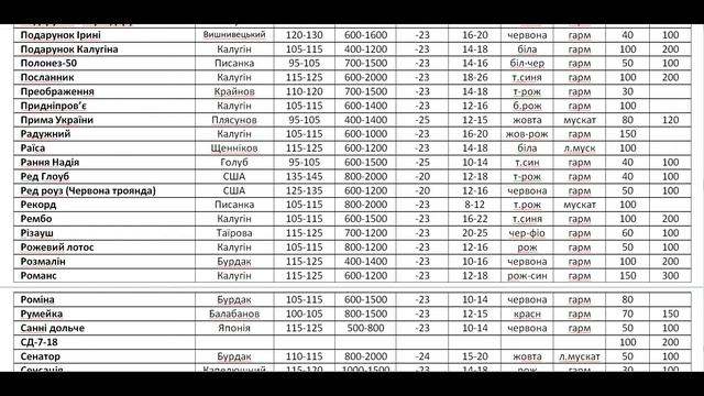 Каталог 2023 2024 смотреть онлайн