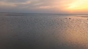 Ейск сегодня и сейчас 26-05-2025 , креветок много сегодня на заливе !