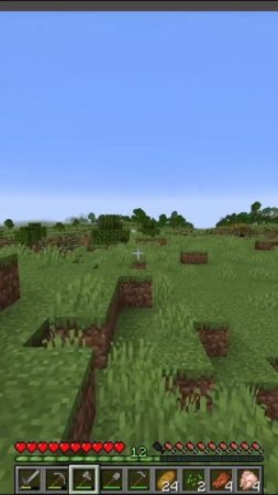 Ищем котенка для приручения в майнкрафт MineCreeper