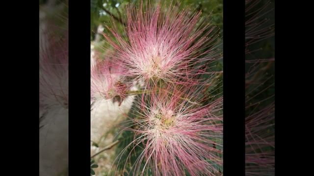 Ищи красивые места! Не падай духом где попало! смотреть онлайн