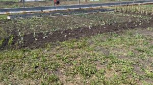 Так прошел выходной