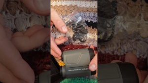 Обзор лазерного дальномера Nikon Prostaff 1000