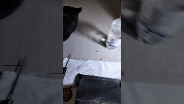 реанимации 1000 АКб . для зимы смотреть онлайн