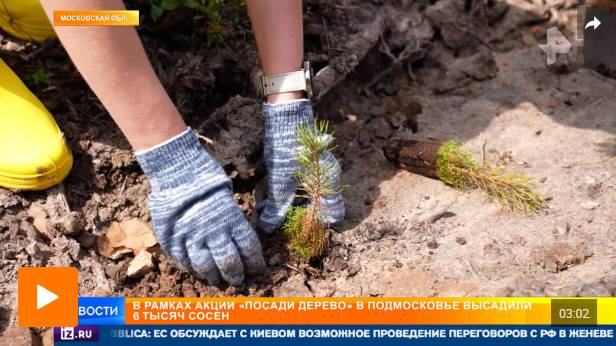 Сотрудники "Столото" высадили 6 тысяч деревьев в рамках акции "Посади дерево"