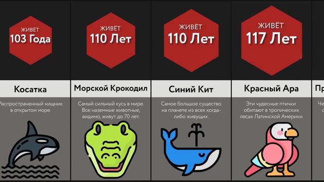 Самые Живучие Существа