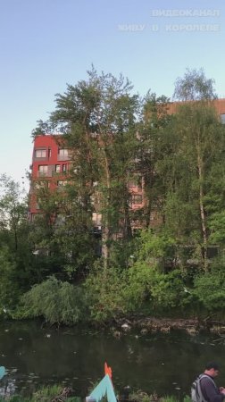 Как выглядит ЖК Киноквартал Королев с нашей набережной. Закат, сирень, крики чаек