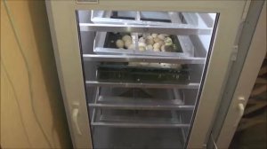 Вылупление цыплят в инкубаторе Блиц База