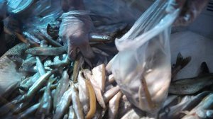 Москвичей и туристов приглашают на гастрономический рыбный фестиваль