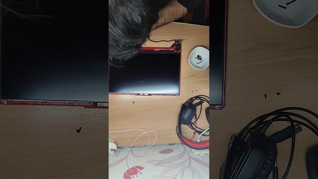 Разбор и замена матрицы на ноутбуке Asus TUF Gaming F15 fx506hf смотреть онлайн