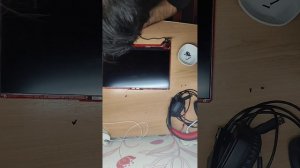 Разбор и замена матрицы на ноутбуке Asus TUF Gaming F15 fx506hf