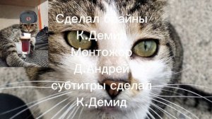 Русские брайны .Перезапуск