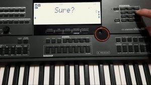 Синтезатор CASIO CT-X5000. Работа с данными. Часть 3. Типы и фо