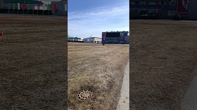 1.  выражено/пож HIRON DI CASA BEGGIATO (Team Marlboro Hilton – Nulla Di Casa Beggiato)