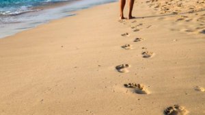 День хождения босиком. Утро Губернии