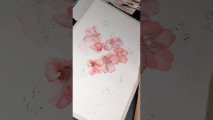 Сакура акварелью