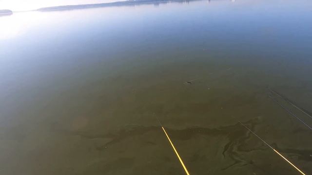 Рыбалка на оз. Сенеж. 10.08.24. смотреть онлайн