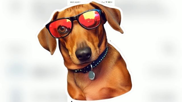 Whatsapp ты қалай тазартуға болады ? телефонда 1 Гб тан 10 Гб смотреть онлайн